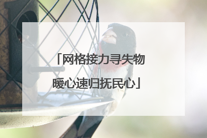 网格接力寻失物 暖心速归抚民心