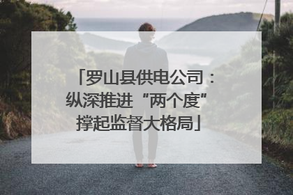 罗山县供电公司：纵深推进“两个度” 撑起监督大格局