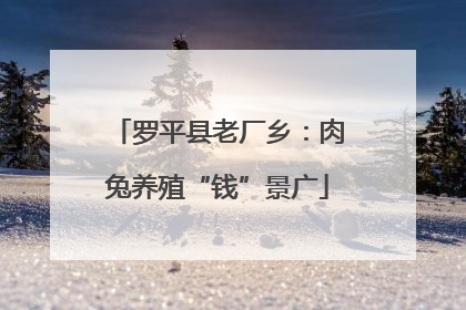 罗平县老厂乡：肉兔养殖“钱”景广