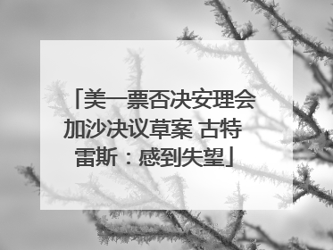 美一票否决安理会加沙决议草案 古特雷斯：感到失望