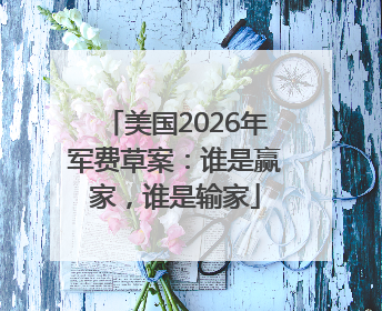 美国2026年军费草案：谁是赢家，谁是输家
