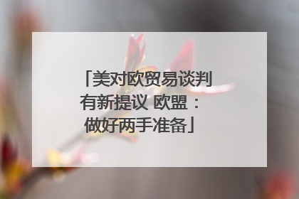 美对欧贸易谈判有新提议 欧盟：做好两手准备