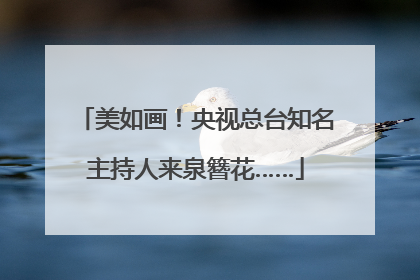 美如画！央视总台知名主持人来泉簪花……
