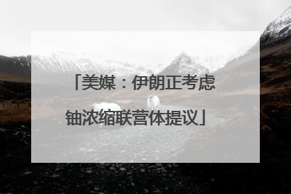 美媒：伊朗正考虑铀浓缩联营体提议
