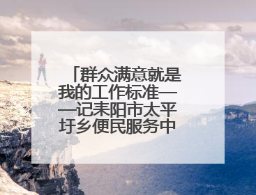 群众满意就是我的工作标准——记耒阳市太平圩乡便民服务中心阳海波