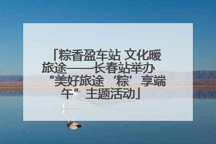 粽香盈车站 文化暖旅途——长春站举办 “美好旅途‘粽’享端午”主题活动