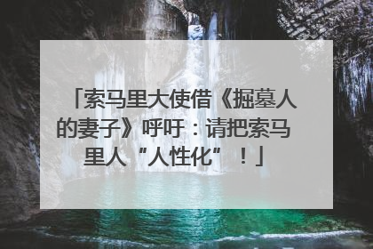 索马里大使借《掘墓人的妻子》呼吁：请把索马里人“人性化”！
