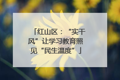 红山区：“实干风”让学习教育照见“民生温度”