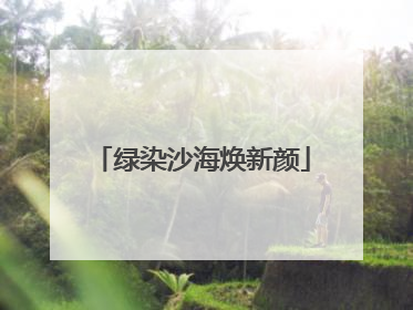 绿染沙海焕新颜