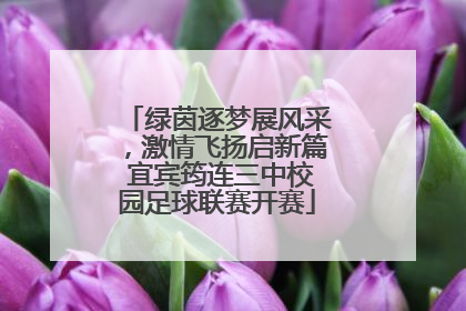 绿茵逐梦展风采，激情飞扬启新篇 宜宾筠连三中校园足球联赛开赛
