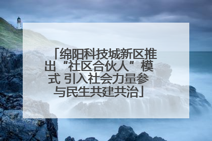 绵阳科技城新区推出“社区合伙人”模式 引入社会力量参与民生共建共治