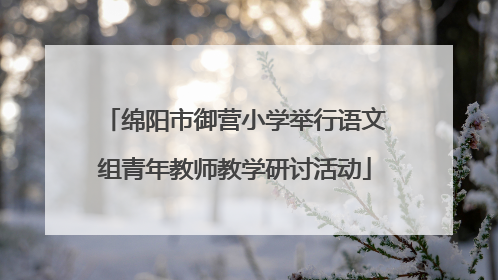绵阳市御营小学举行语文组青年教师教学研讨活动