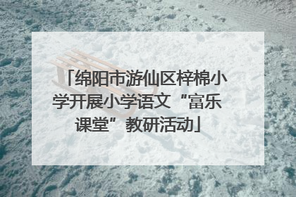 绵阳市游仙区梓棉小学开展小学语文“富乐课堂”教研活动