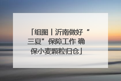 组图丨沂南做好“三夏”保障工作 确保小麦颗粒归仓