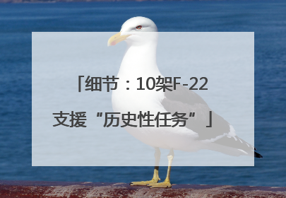细节：10架F-22支援“历史性任务”