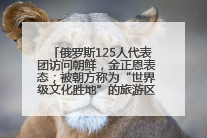 俄罗斯125人代表团访问朝鲜，金正恩表态；被朝方称为“世界级文化胜地”的旅游区，将首次接待俄游客