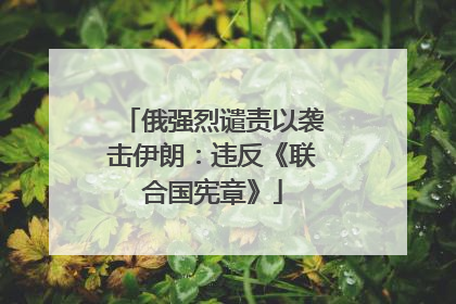 俄强烈谴责以袭击伊朗：违反《联合国宪章》