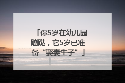你5岁在幼儿园蹦跶，它5岁已准备“娶妻生子”
