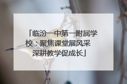 临汾一中第一附属学校：聚焦课堂展风采 深耕教学促成长