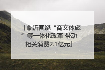 临沂围绕“商文体旅”等一体化改革 带动相关消费2.1亿元
