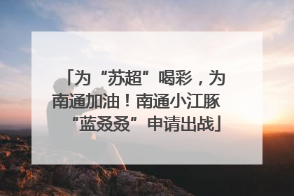 为“苏超”喝彩，为南通加油！南通小江豚“蓝叒叒”申请出战