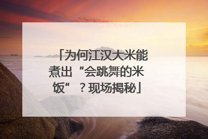 为何江汉大米能煮出“会跳舞的米饭”？现场揭秘
