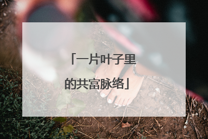 一片叶子里的共富脉络