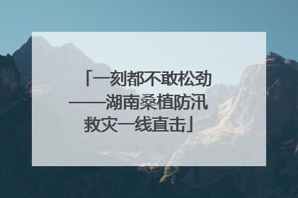 一刻都不敢松劲——湖南桑植防汛救灾一线直击