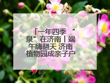 一年四季 “泉”在济南丨端午嗨翻天 济南植物园成亲子户外热门打卡地