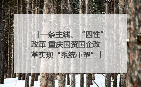 一条主线、“四性”改革 重庆国资国企改革实现“系统重塑”
