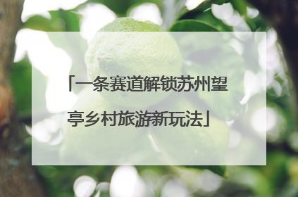 一条赛道解锁苏州望亭乡村旅游新玩法