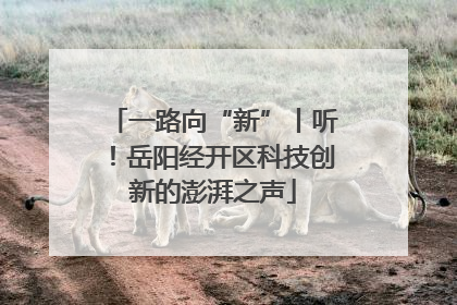 一路向“新”丨听！岳阳经开区科技创新的澎湃之声