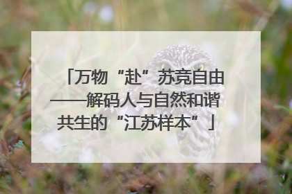 万物“赴”苏竞自由——解码人与自然和谐共生的“江苏样本”