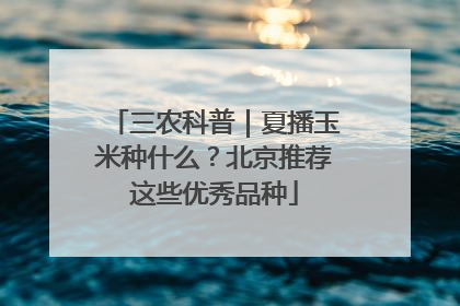 三农科普｜夏播玉米种什么？北京推荐这些优秀品种
