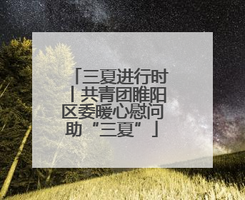 三夏进行时丨共青团睢阳区委暖心慰问助“三夏”