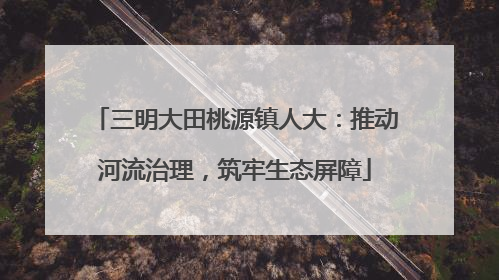 三明大田桃源镇人大：推动河流治理，筑牢生态屏障