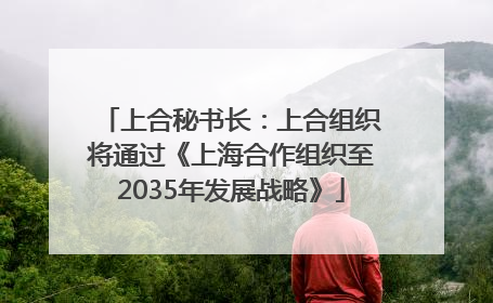 上合秘书长：上合组织将通过《上海合作组织至2035年发展战略》