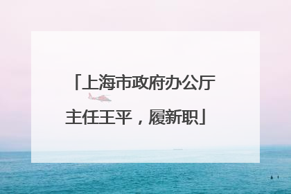 上海市政府办公厅主任王平，履新职