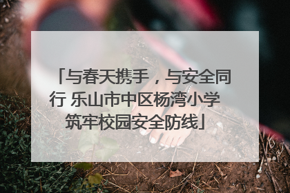 与春天携手，与安全同行 乐山市中区杨湾小学筑牢校园安全防线