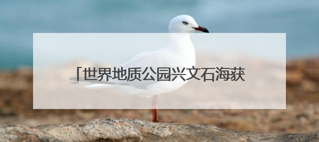 世界地质公园兴文石海获颁“行读四川”研学品牌