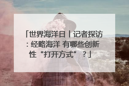 世界海洋日丨记者探访：经略海洋 有哪些创新性“打开方式”？