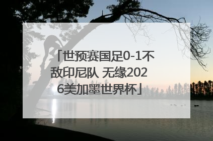 世预赛国足0-1不敌印尼队 无缘2026美加墨世界杯