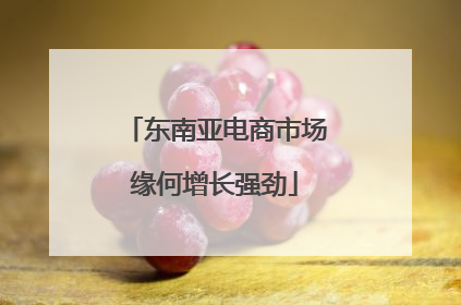 东南亚电商市场缘何增长强劲