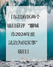 东昌府区两个项目获评“聊城市2024年度法治为民实事”项目