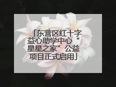 东营区红十字益心助学中心“星星之家”公益项目正式启用