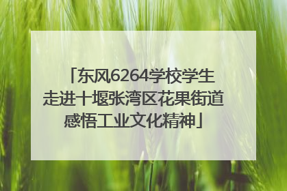 东风6264学校学生走进十堰张湾区花果街道感悟工业文化精神