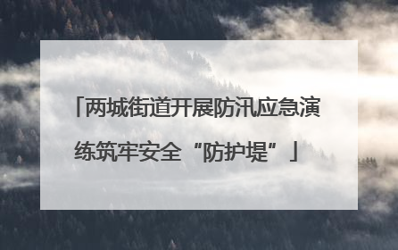 两城街道开展防汛应急演练筑牢安全“防护堤”