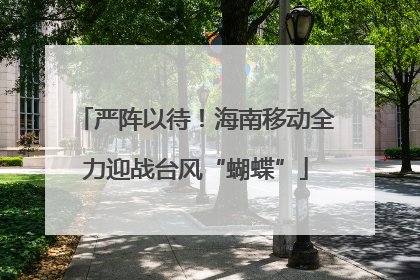严阵以待！海南移动全力迎战台风“蝴蝶”