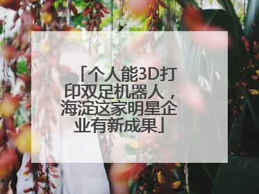 个人能3D打印双足机器人，海淀这家明星企业有新成果