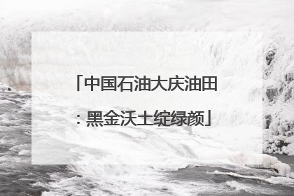 中国石油大庆油田：黑金沃土绽绿颜
